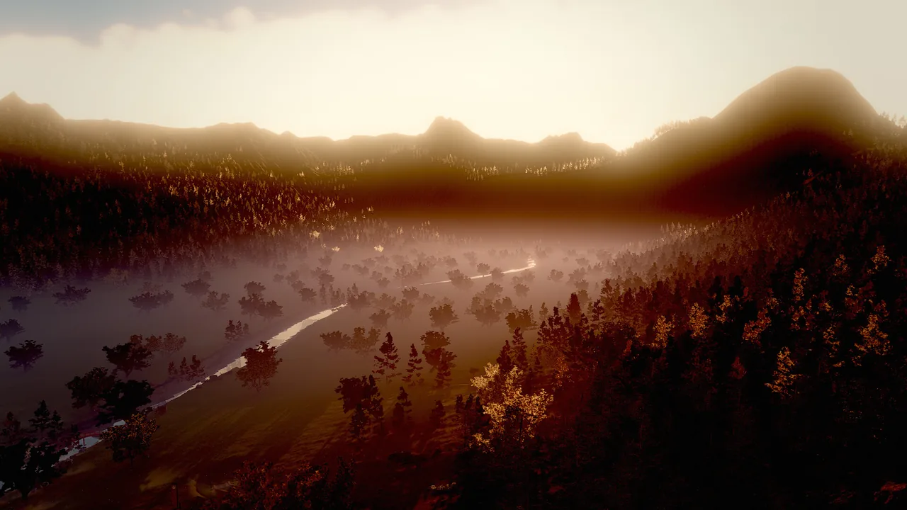 A forested valley at dusk seen from above