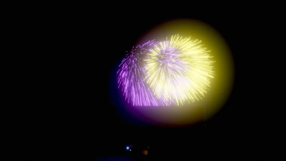 Fireworks bursting in the night sky