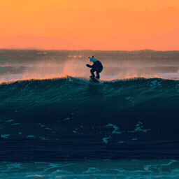 panda surfing